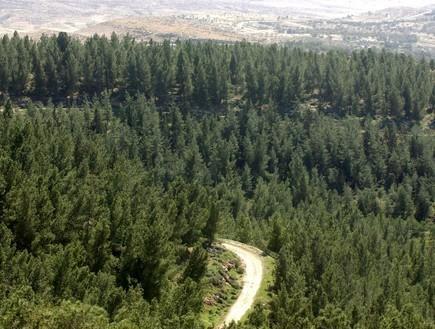 Yagorov Chalet Yavneʼel Exteriér fotografie